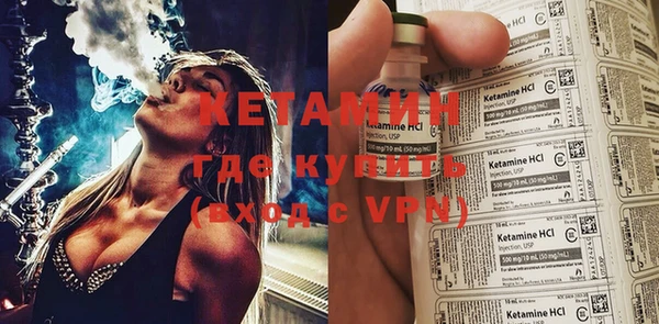 крисы Бородино