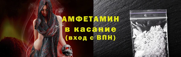 крисы Бородино