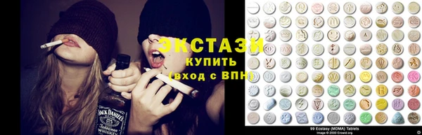 крисы Бородино