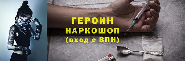 крисы Бородино