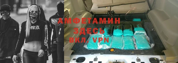 крисы Бородино