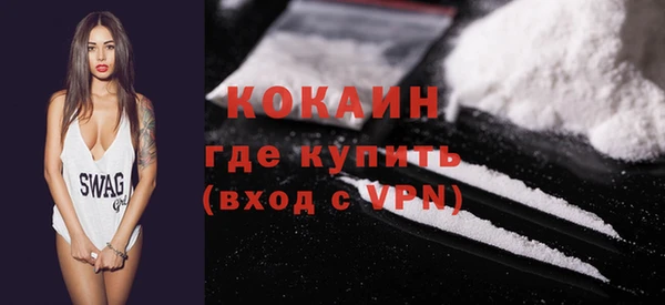 крисы Бородино