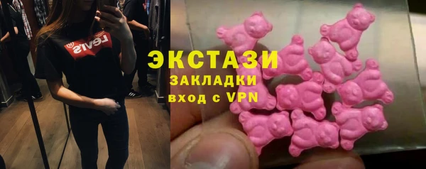 крисы Бородино