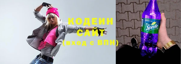 крисы Бородино