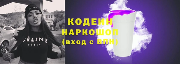 крисы Бородино