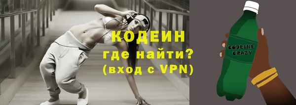 крисы Бородино