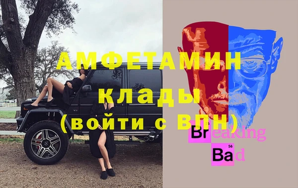 крисы Бородино