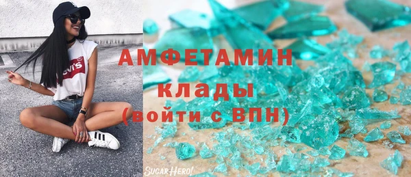 крисы Бородино