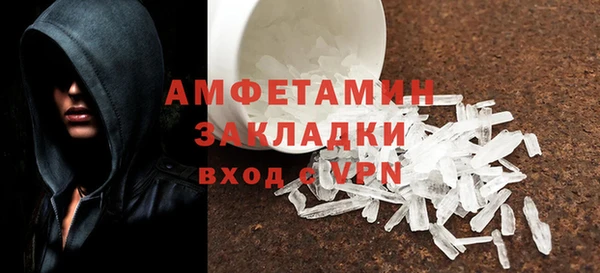 крисы Бородино