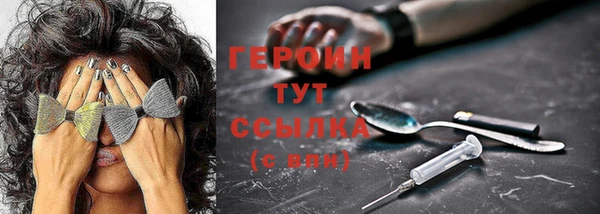 крисы Бородино